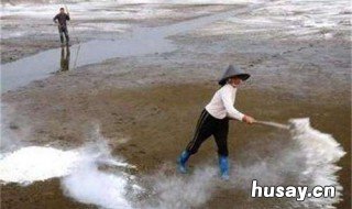 鱼塘消毒生石灰用量 鱼塘生石灰消毒方法