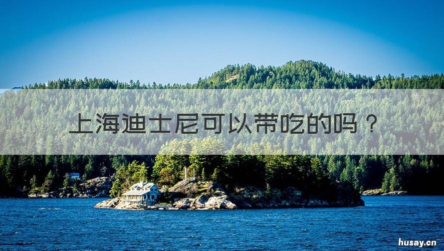 上海迪士尼可以带吃的吗 上海迪士尼可以带吃的吗2021