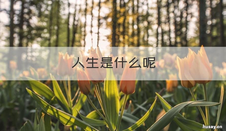 人生是什么呢 人生是什么呢,人生就是处处不知如何是好