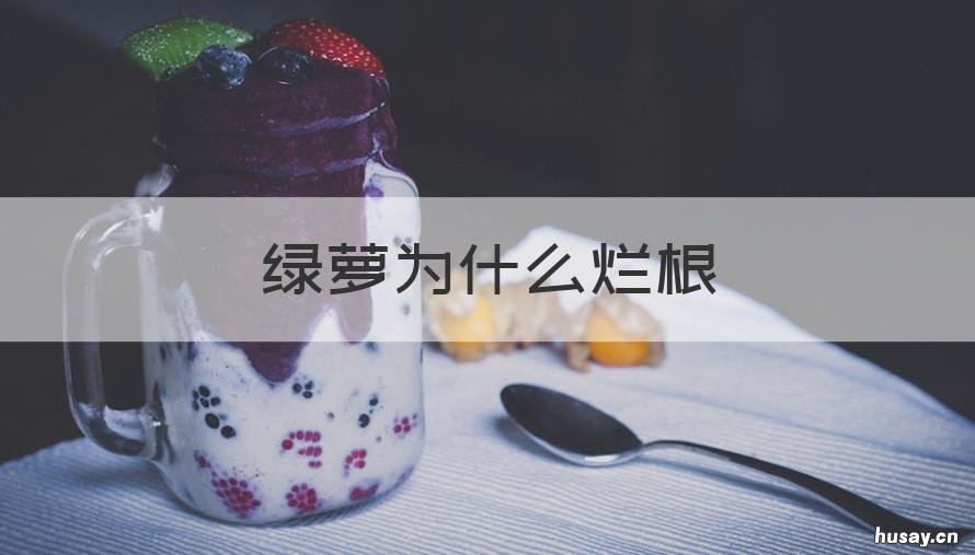 绿萝为什么烂根 绿萝为什么烂根不长