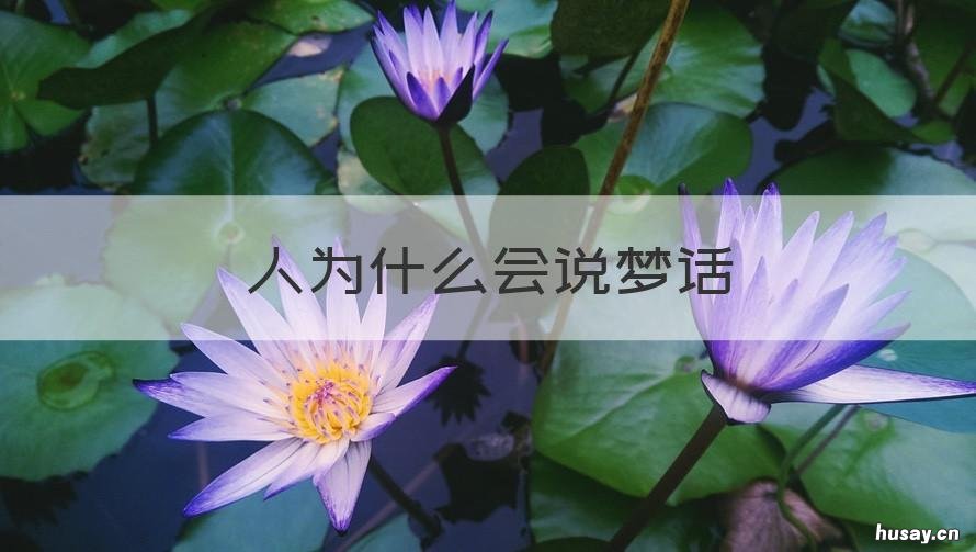 人为什么会说梦话 一个人为什么会说梦话
