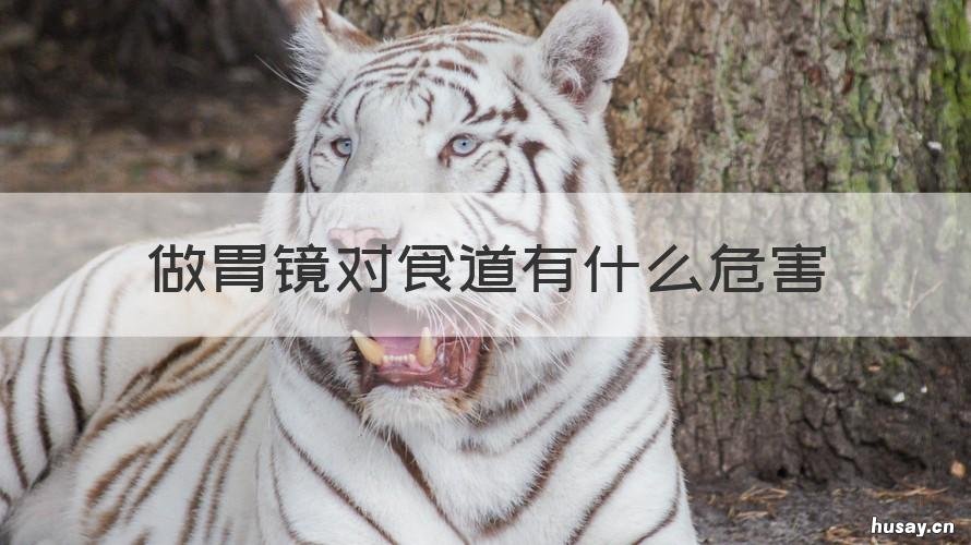 做胃镜对食道有什么危害 做胃镜的危害有什么,会伤胃还是对食道有伤害吗?