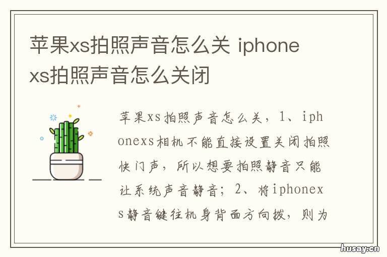 苹果xs拍照声音怎么关 怎么关闭苹果xs拍照声音
