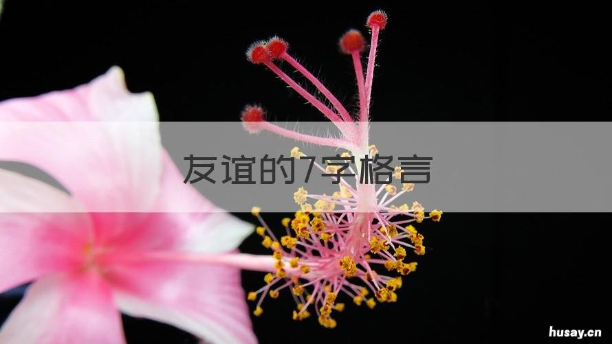 友谊的7字格言 友谊七字句