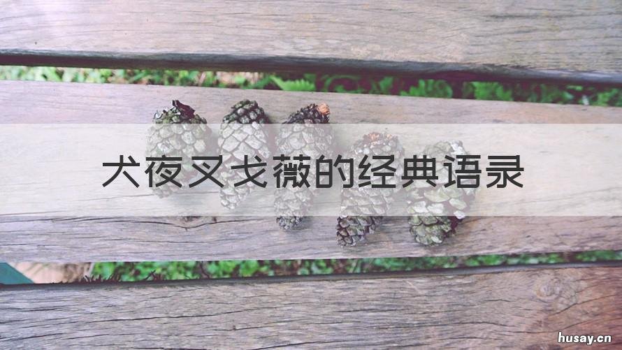 犬夜叉戈薇的经典语录 犬夜叉桔梗经典语录