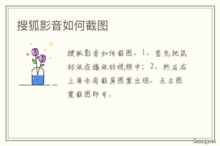 搜狐影音如何截图 搜狐影音如何截图视频