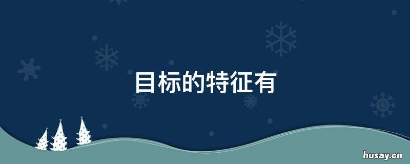 目标的特征有 目标的特征有哪些主观性