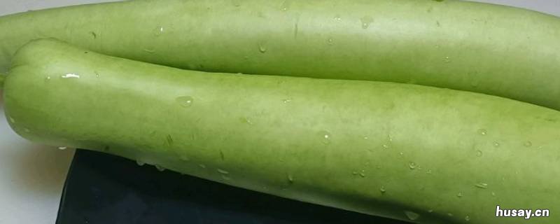 夜开花又叫什么名字 夜开花的学名是什么