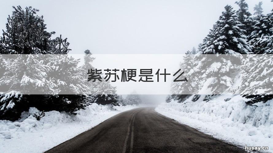 紫苏梗是什么 紫苏梗是什么木头