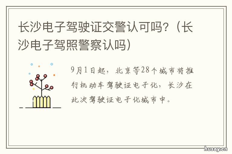 长沙电子驾驶证交警认可吗? 长沙电子驾驶证来啦