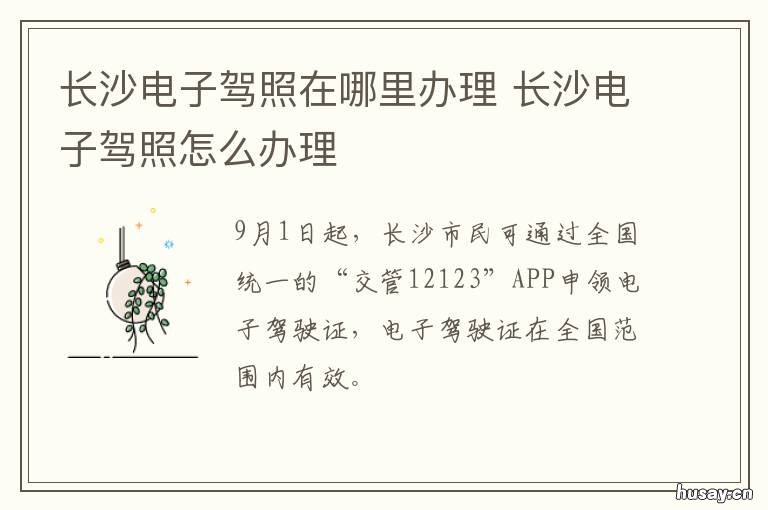长沙电子驾照在哪里办理 长沙电子驾照在哪里办的