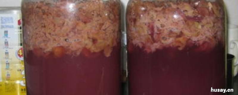 夏天自制葡萄酒发酵要多久 自制葡萄酒一般发酵几天