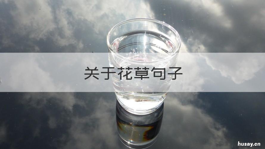 关于花草句子 关于花草的唯美句子大全