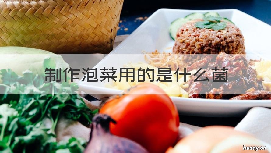 制作泡菜用的是什么菌 制作泡菜用的是什么菌子