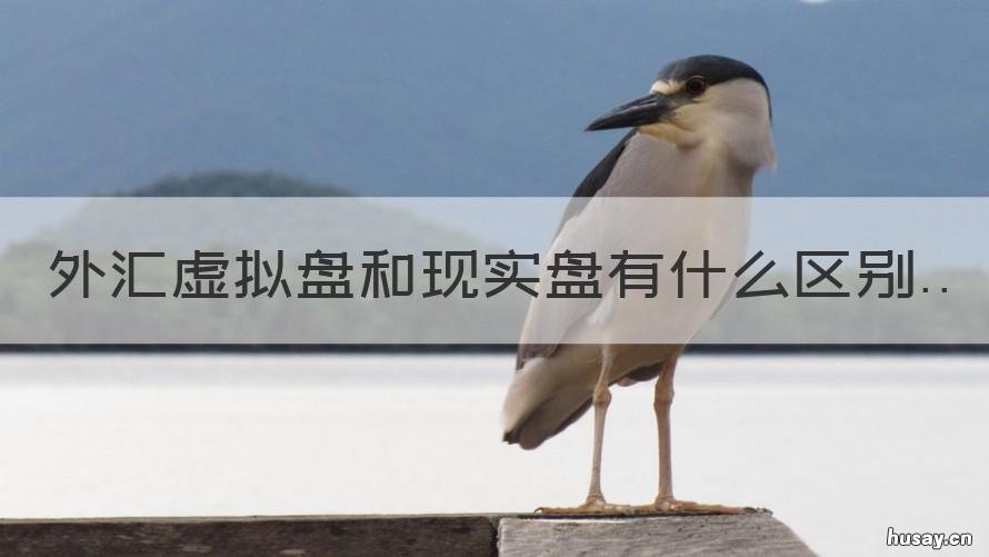 外汇虚拟盘和现实盘有什么区别 外汇模拟盘和实盘数据一样的吗