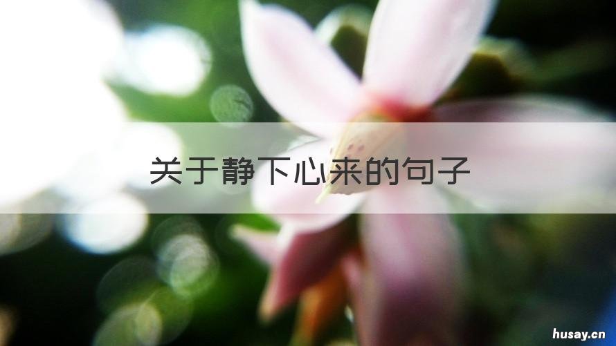 关于静下心来的句子 关于静下心来的句子摘抄