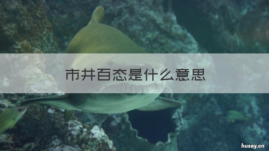 市井百态是什么意思 市井百态近义词