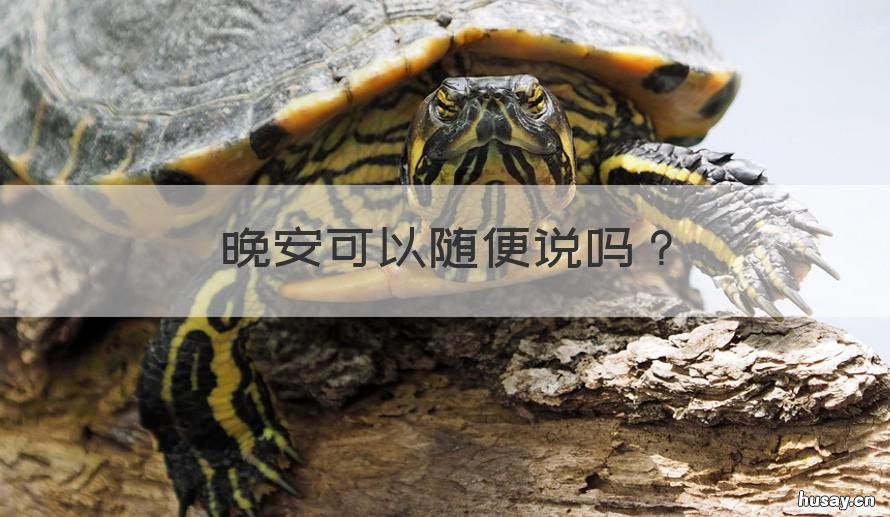 晚安可以随便说吗 晚安可以随便说吗英文