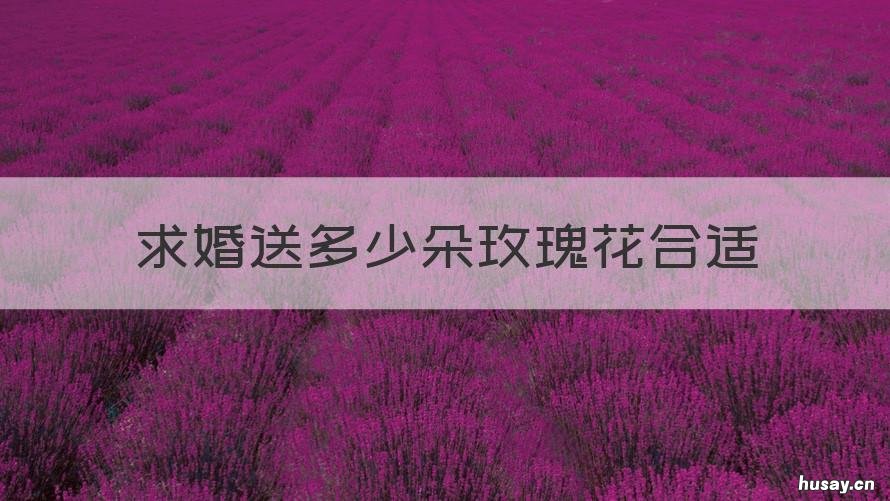 求婚送多少朵玫瑰花合适 求婚玫瑰花应该送多少朵合适