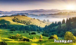 吟咏节令景色是春天景色吗 吟咏节令景色是春天景色吗为什么