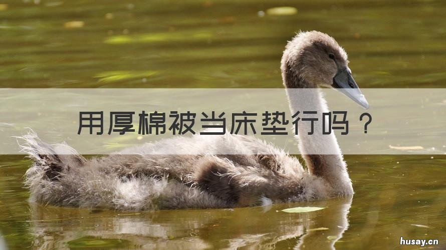 用厚棉被当床垫行吗 用厚棉被当床垫行吗女生