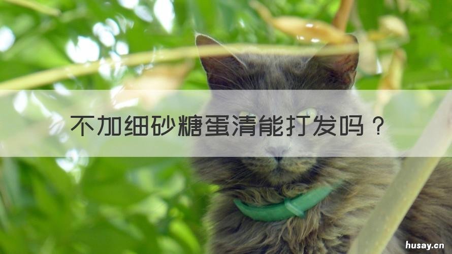 不加细砂糖蛋清能打发吗 蛋清不加白砂糖可以打发吗