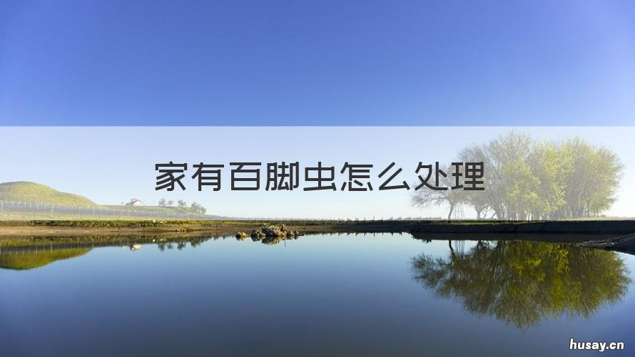 家有百脚虫怎么处理 家里发现千脚虫怎么来的怎么处理呀?