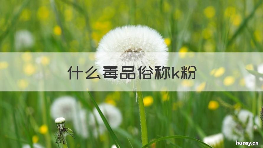 什么毒品俗称k粉 K粉是什么毒品的俗称