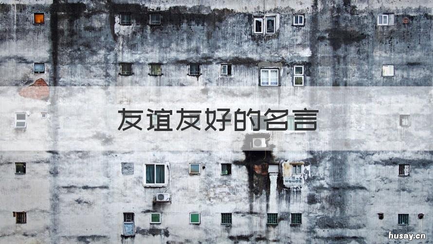 友谊友好的名言 友谊友好的名言名句