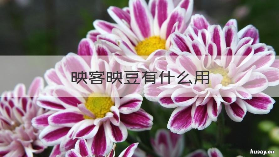 映客映豆有什么用 映客金豆是什么