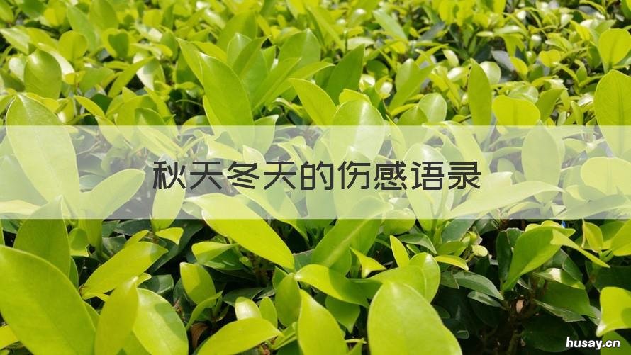 秋天冬天的伤感语录 秋天冬天的伤感语录图片