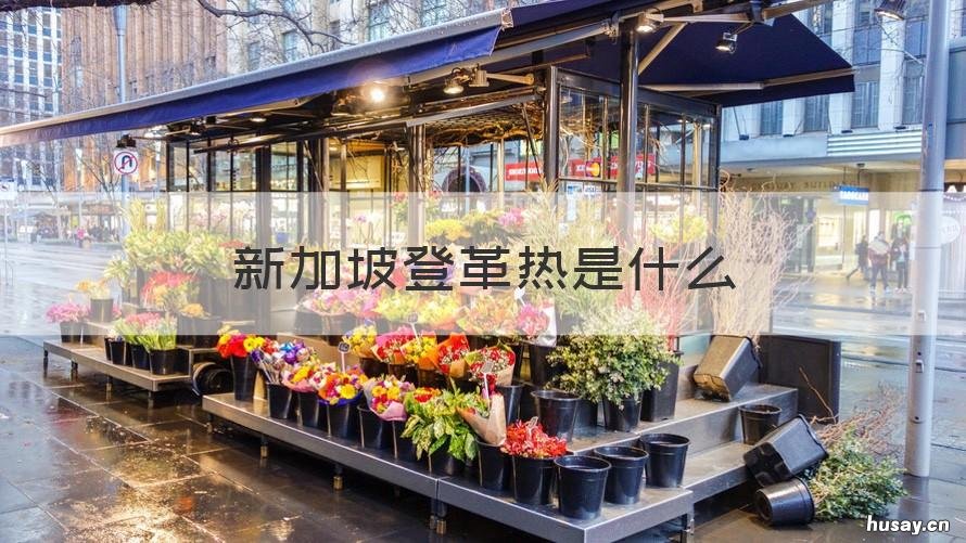 新加坡登革热是什么 登革热登革热