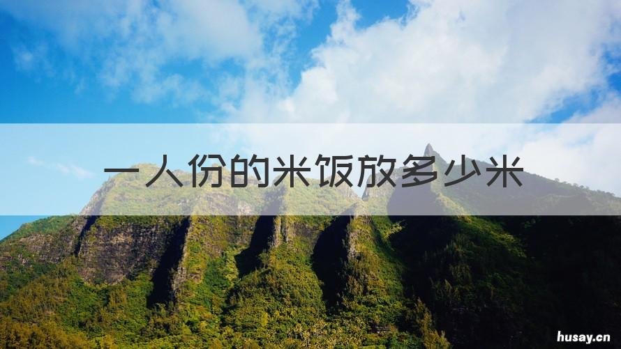 一人份的米饭放多少米 一人份米饭放几把米