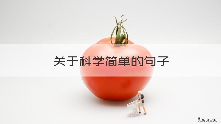 关于科学简单的句子 关于科学的一些句子