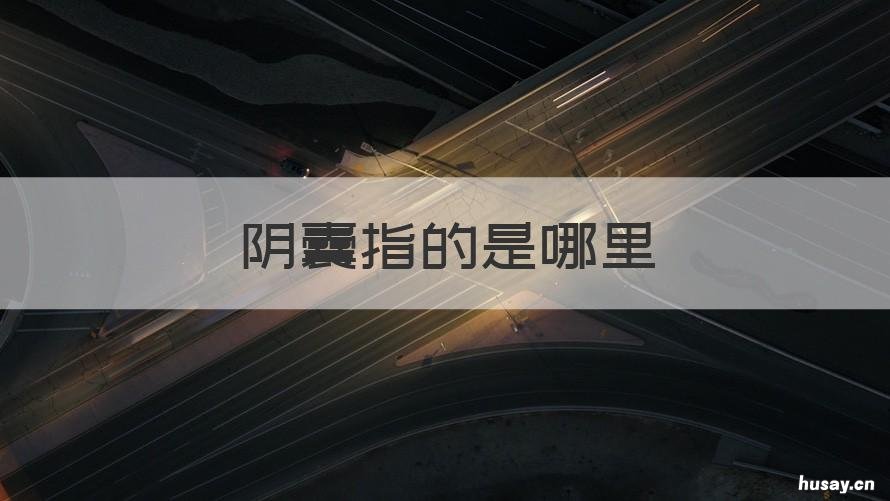 阴囊指的是哪里 阴囊是哪里?