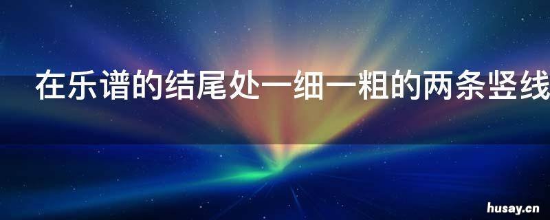 在乐谱的结尾处一细一粗的两条竖线叫什么 在乐谱的结尾有一细一粗的