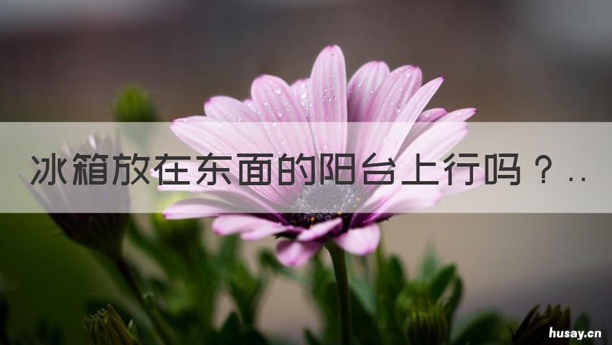 冰箱放在东面的阳台上行吗 冰箱放在阴面阳台上可以吗