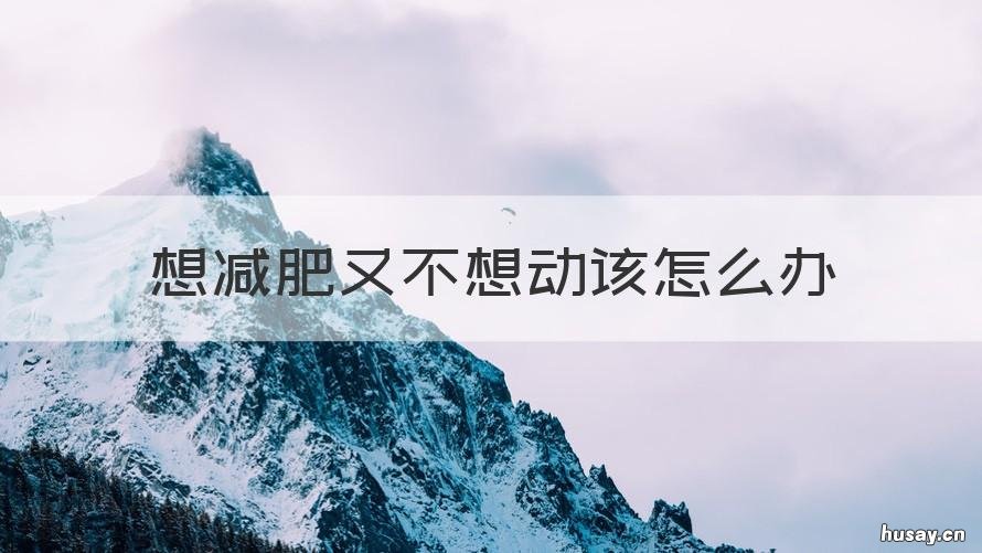 想减肥又不想动该怎么办 特别想减肥 就是减不下来怎么办