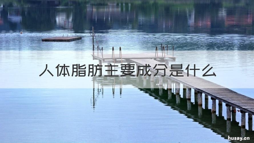 人体脂肪主要成分是什么 脂肪是人体主要的什么物质