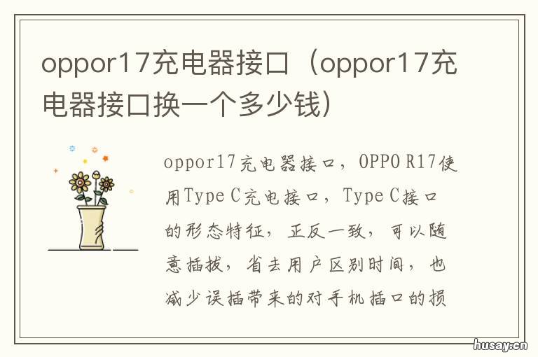 oppor17充电器接口 oppor17充电器头
