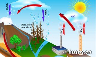 酸雨产生的原因 酸雨产生的原因是什么