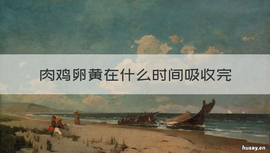 肉鸡卵黄在什么时间吸收完 鸡卵黄吸收多长时间