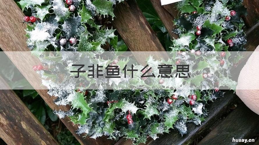 子非鱼什么意思 子非鱼什么意思动漫