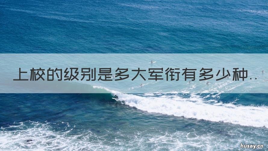 上校的级别是多大军衔有多少种 上校对应的军衔级别