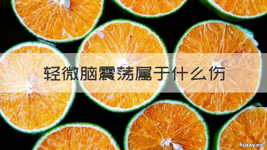 轻微脑震荡属于什么伤 轻微脑震荡属于什么伤残