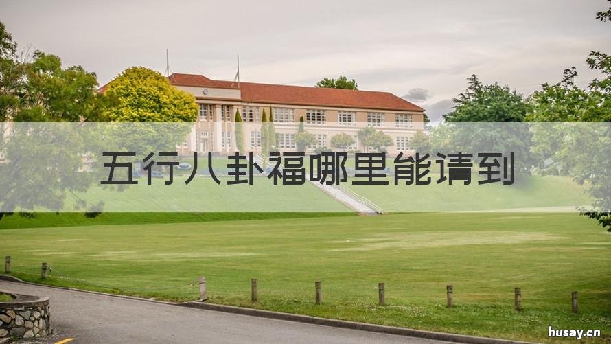 五行八卦福哪里能请到 五行八卦福在哪买