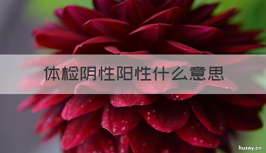 体检阴性阳性什么意思 体检为阴性是什么意思