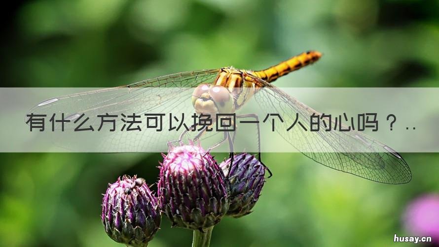 有什么方法可以挽回一个人的心吗 如果特别想挽回一个人应该怎么办
