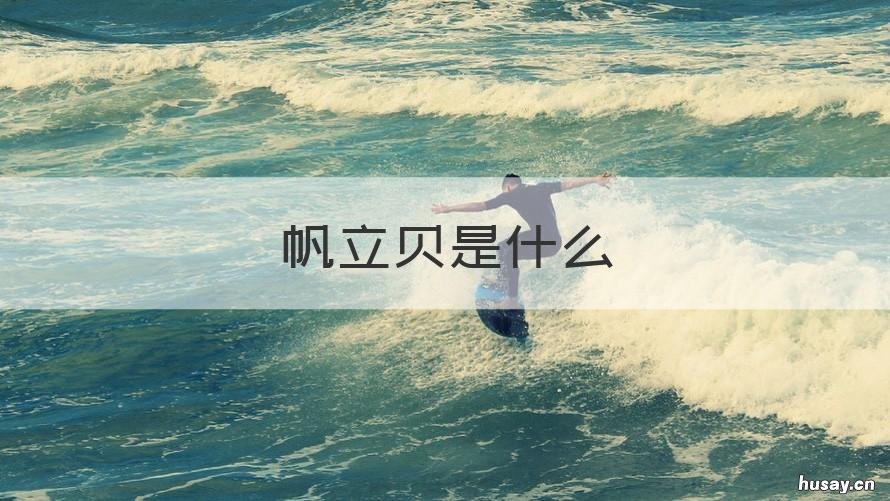 帆立贝是什么 帆立贝是什么海鲜