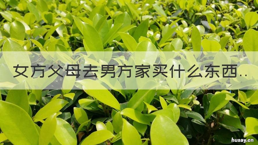 女方父母去男方家买什么东西 到男方父母家买什么